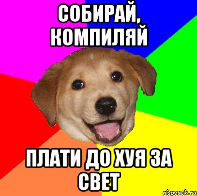 Собирай, компиляй плати до хуя за свет, Мем Advice Dog