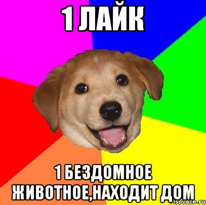 1 Лайк 1 бездомное животное,находит дом, Мем Advice Dog