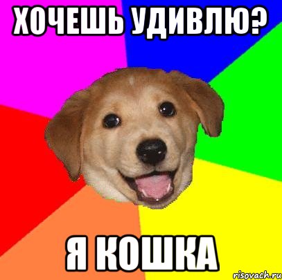 ХОЧЕШЬ УДИВЛЮ? Я КОШКА, Мем Advice Dog