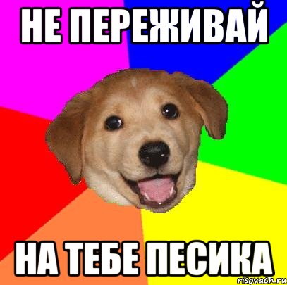 НЕ ПЕРЕЖИВАЙ НА ТЕБЕ ПЕСИКА, Мем Advice Dog