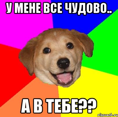 у мене все чудово.. а в тебе??, Мем Advice Dog