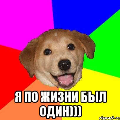  я по жизни был один))), Мем Advice Dog