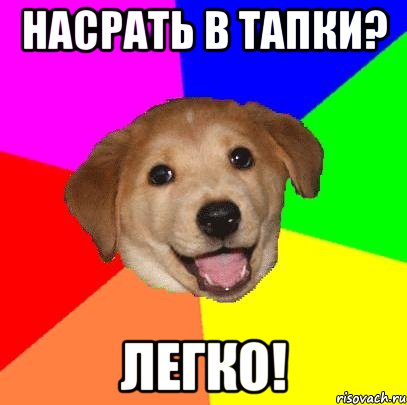 Насрать в тапки? Легко!, Мем Advice Dog