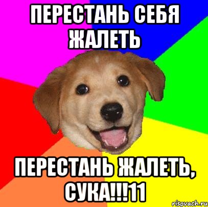 Перестань себя жалеть Перестань жалеть, сука!!!11, Мем Advice Dog