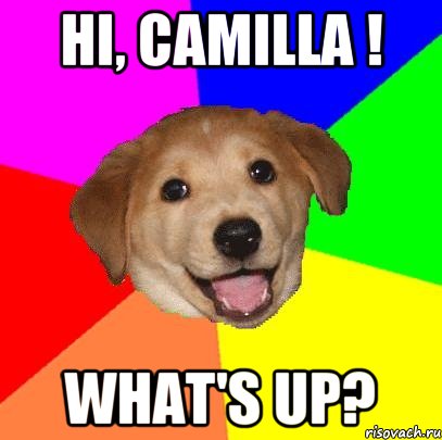 Hi, Camilla ! What's up?, Мем Advice Dog