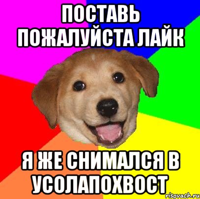 поставь пожалуйста лайк я же снимался в усолапохвост, Мем Advice Dog