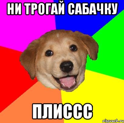 НИ ТРОГАЙ САБАЧКУ ПЛИССС, Мем Advice Dog