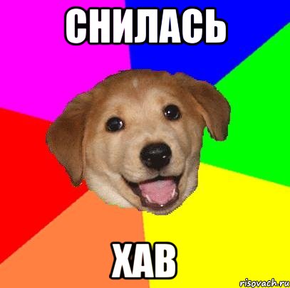 СНИЛАСЬ Хав, Мем Advice Dog