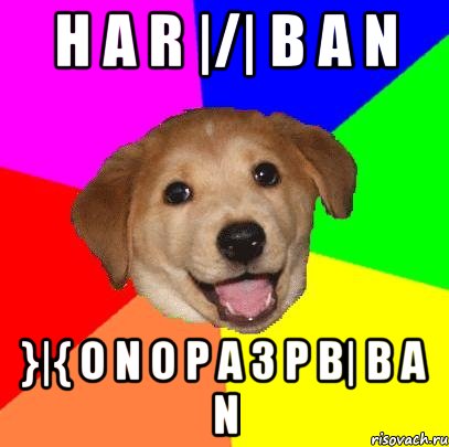 H a r |/| b a N }|{ o n o P A 3 P b| B a N, Мем Advice Dog