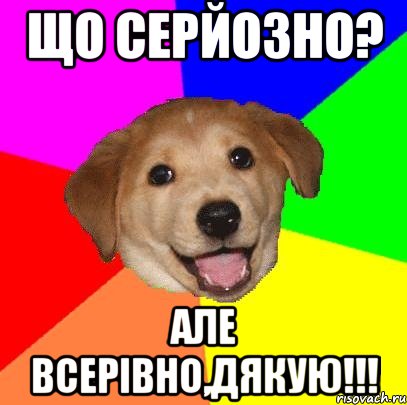 Що серйозно? але всерівно,дякую!!!, Мем Advice Dog