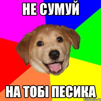 НЕ СУМУЙ НА ТОБІ ПЕСИКА, Мем Advice Dog