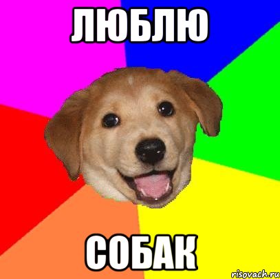 ЛЮБЛЮ СОБАК, Мем Advice Dog