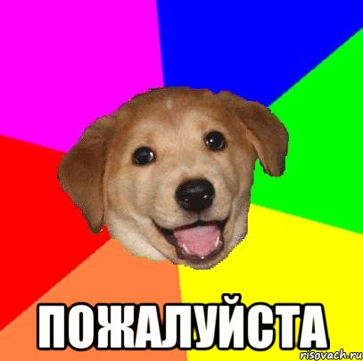  Пожалуйста, Мем Advice Dog