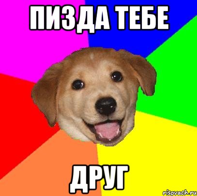 пизда тебе друг, Мем Advice Dog