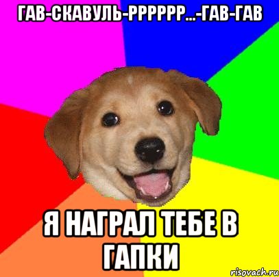 Гав-скавуль-рррррр...-Гав-Гав Я награл тебе в гапки, Мем Advice Dog