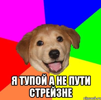  я тупой а не пути стрейзне, Мем Advice Dog