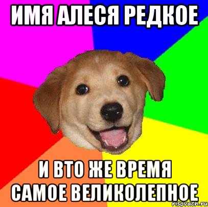 Имя Алеся редкое И вто же время самое великолепное, Мем Advice Dog