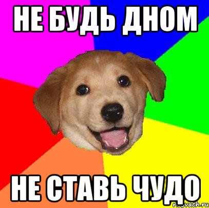 НЕ БУДЬ ДНОМ НЕ СТАВЬ ЧУДО, Мем Advice Dog