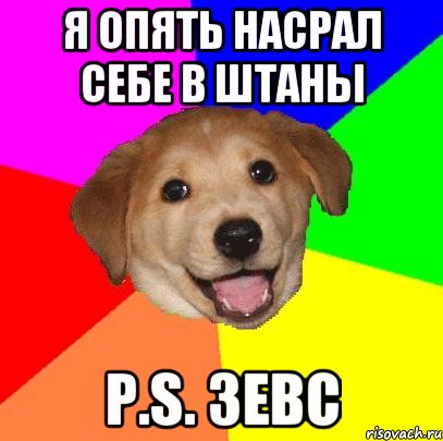 Я ОПЯТЬ НАСРАЛ СЕБЕ В ШТАНЫ P.S. ЗЕВС, Мем Advice Dog