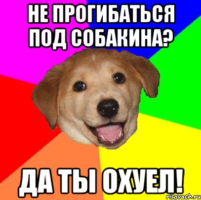 Не прогибаться под Собакина? Да ты охуел!, Мем Advice Dog