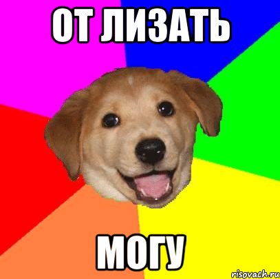 от лизать могу, Мем Advice Dog