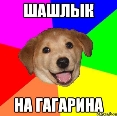 Шашлык на Гагарина, Мем Advice Dog