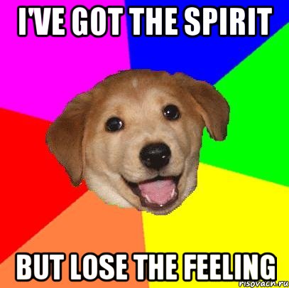 I've got the spirit but lose the feeling, Мем Advice Dog