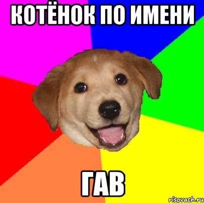 котёнок по имени гав, Мем Advice Dog