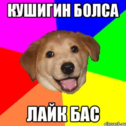 КУШИГИН БОЛСА ЛАЙК БАС, Мем Advice Dog