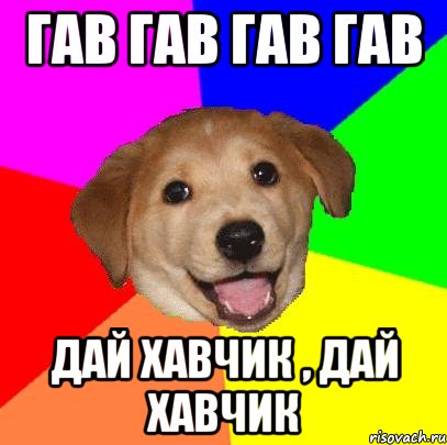 гав гав гав гав дай хавчик , дай хавчик, Мем Advice Dog