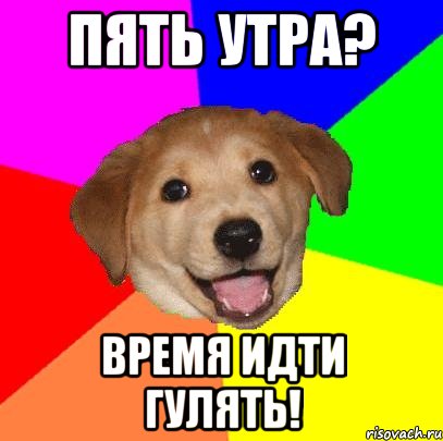 ПЯТЬ УТРА? ВРЕМЯ ИДТИ ГУЛЯТЬ!, Мем Advice Dog