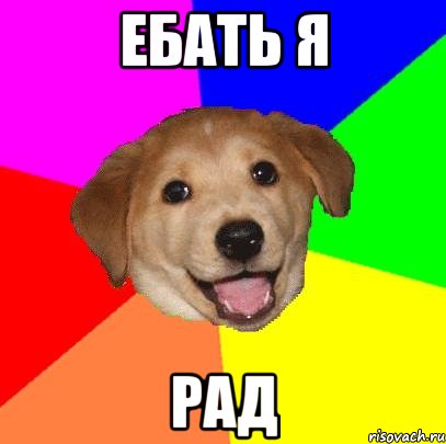 ЕБАТЬ Я РАД, Мем Advice Dog