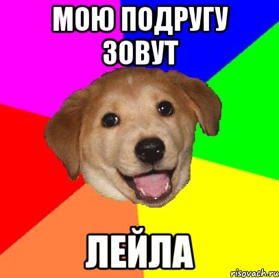 Мою подругу зовут Лейла, Мем Advice Dog