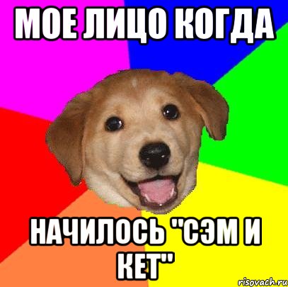 Мое лицо когда начилось "Сэм и Кет", Мем Advice Dog