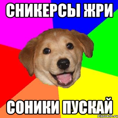 Сникерсы жри соники пускай, Мем Advice Dog