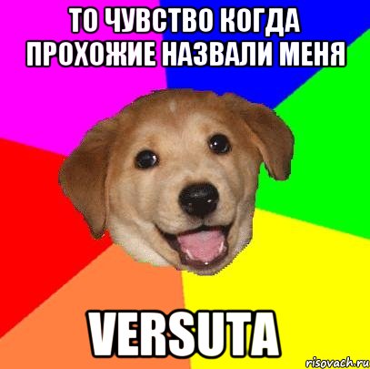 То чувство когда прохожие назвали меня VERSUTA, Мем Advice Dog