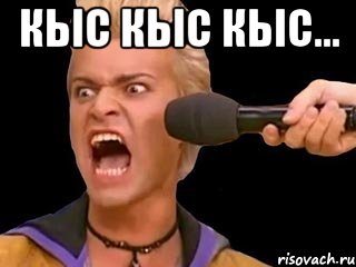 Кыс Кыс Кыс... , Мем Адвокат