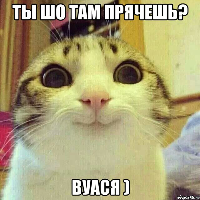 Ты шо там прячешь? Вуася )