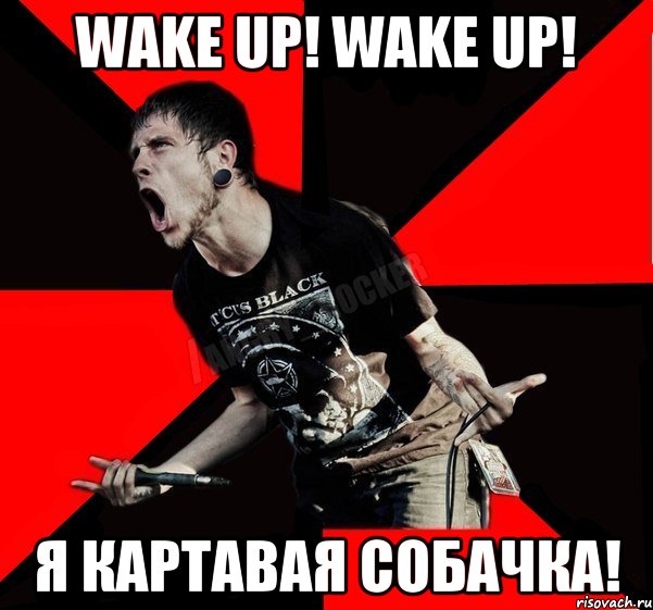 Wake Up! Wake Up! Я картавая собачка!, Мем Агрессивный рокер