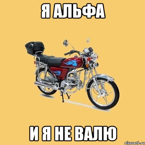 Я альфа и я не валю, Мем альфа