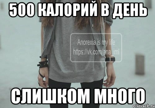 500 калорий в день слишком много