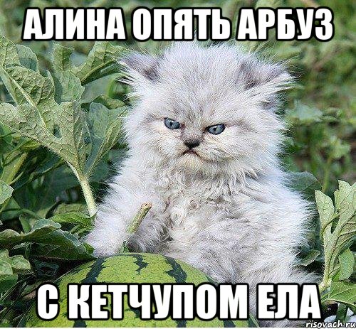 Алина опять арбуз с кетчупом ела