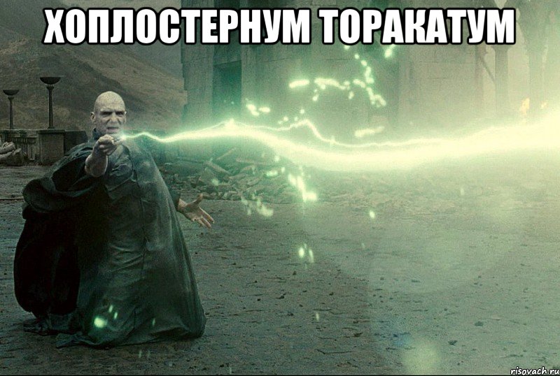 Хоплостернум торакатум 