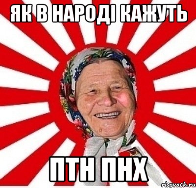 ЯК В НАРОДІ КАЖУТЬ ПТН ПНХ, Мем  бабуля