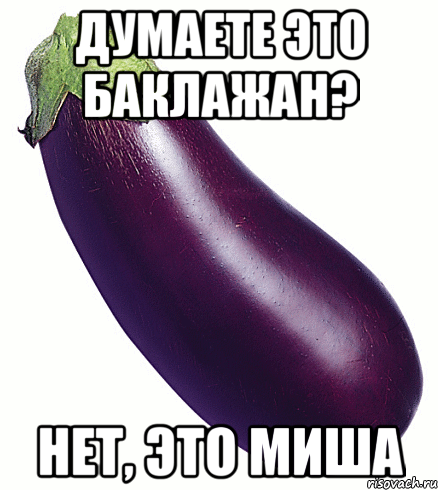 Думаете это баклажан? Нет, это Миша