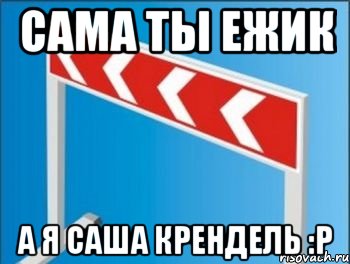 Сама ты ежик А я Саша Крендель :р, Мем Барьер от стрелочников