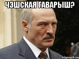 Чэшская гаварыш? 