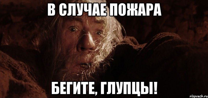 В случае пожара Бегите, глупцы!, Мем Бегите глупцы