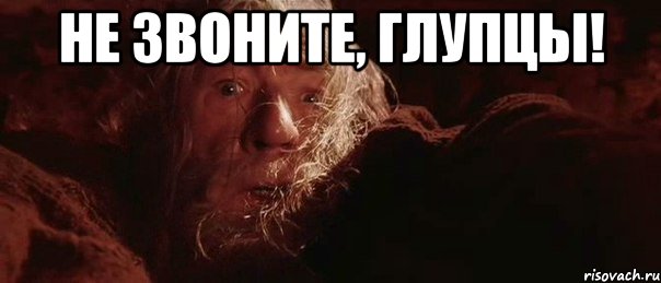 Не звоните, глупцы! 