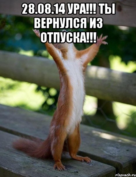 28.08.14 Ура!!! Ты вернулся из отпуска!!! , Мем    белка молится